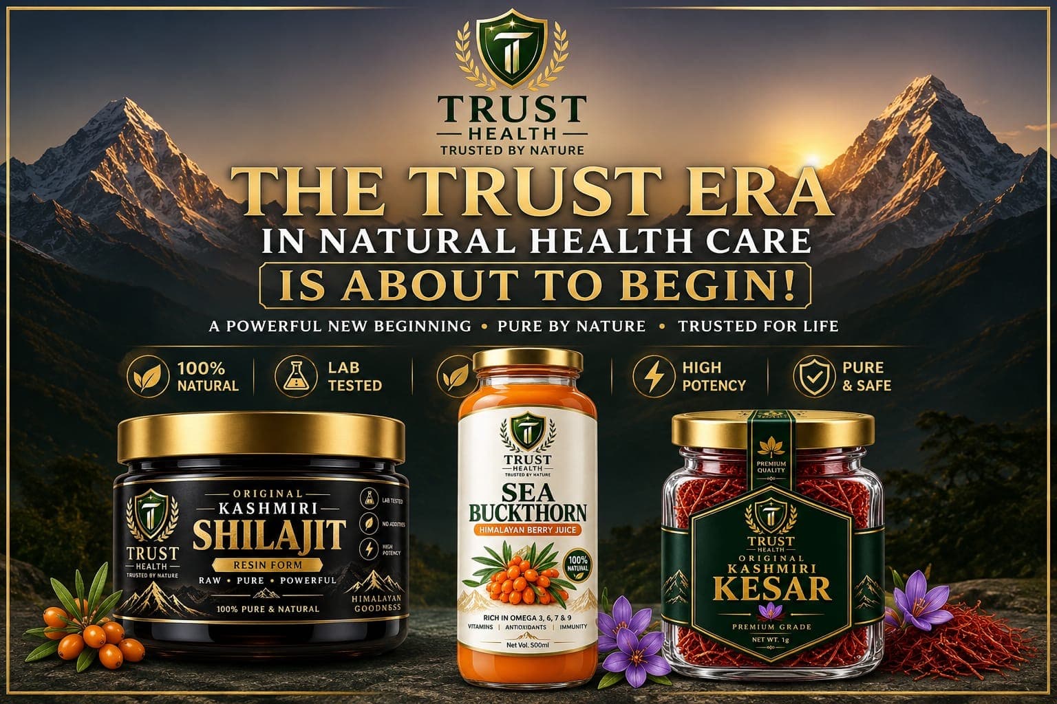 Trust Health — The Trust Era in natural health care is about to begin